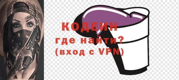твердый Бородино