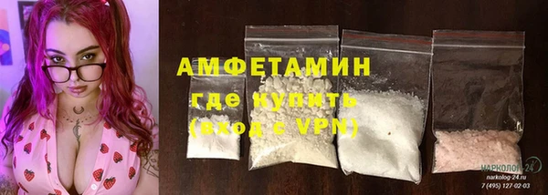 твердый Бородино