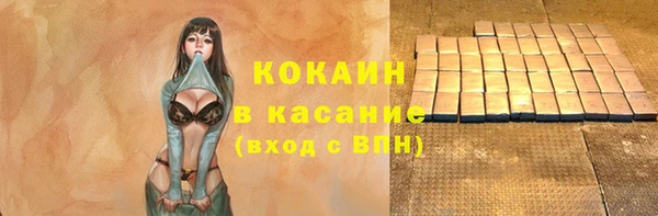твердый Бородино