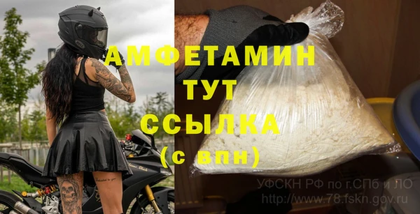 твердый Бородино