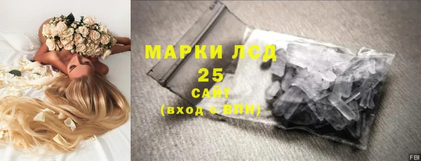 твердый Бородино