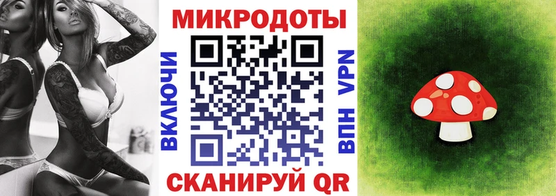 kraken онион  Грозный  Галлюциногенные грибы Psilocybine cubensis 
